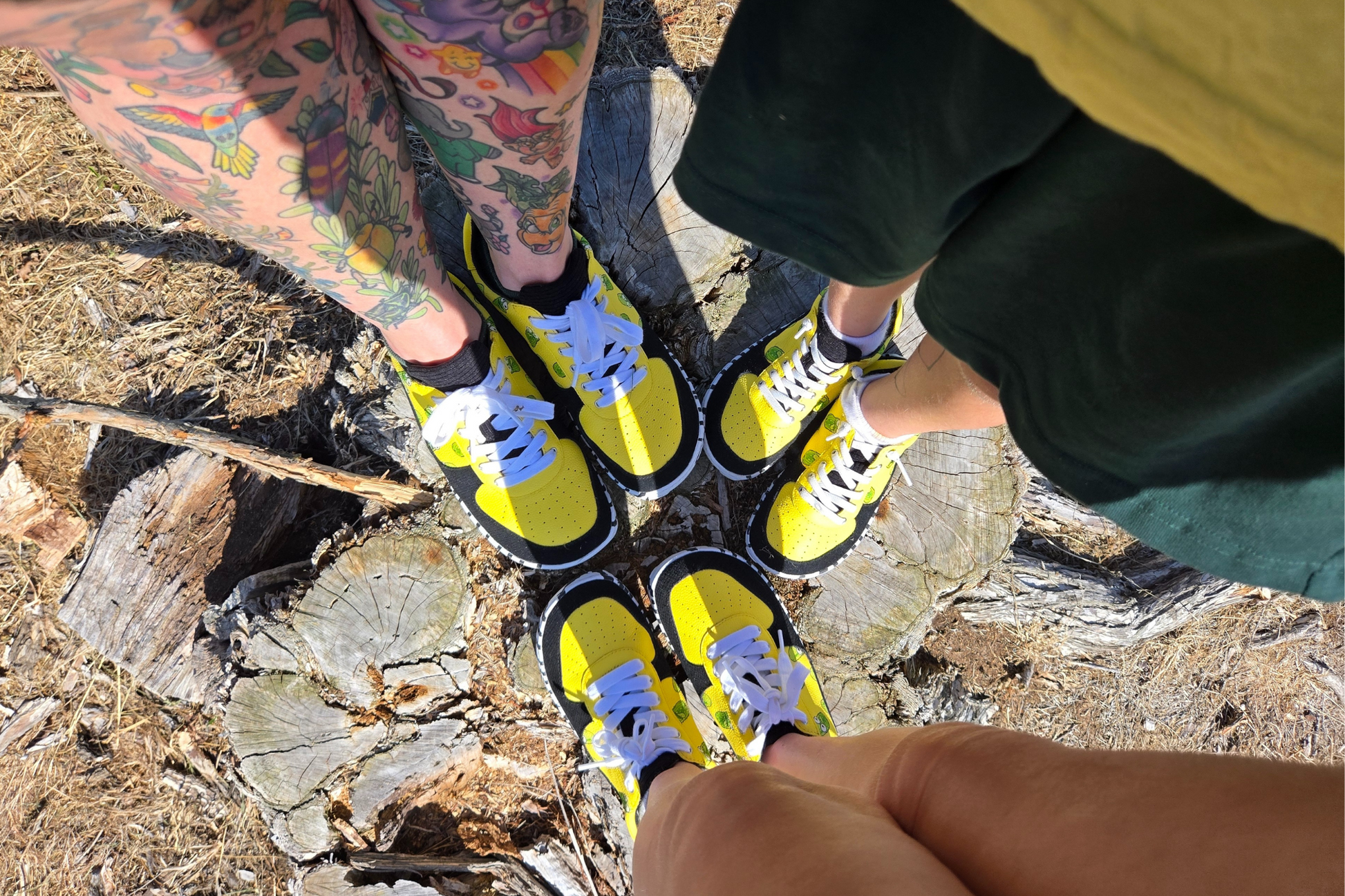 PICKLE LOW FAMILY ON A TREE STUMP